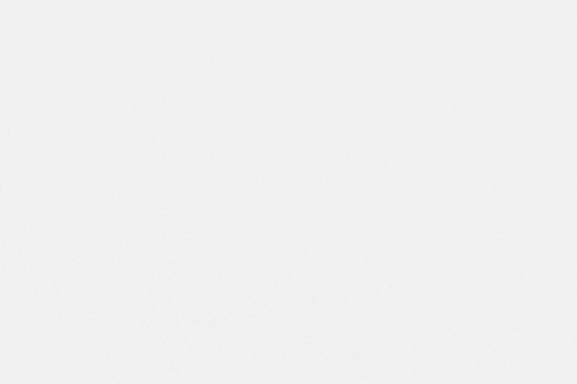 SarasNova Data Integration